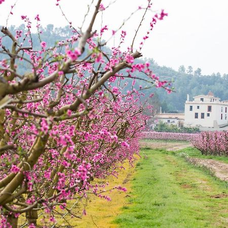 Hotel Rural Mas De L'Illa Tivissa Ngoại thất bức ảnh