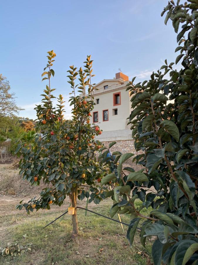 Hotel Rural Mas De L'Illa Tivissa Ngoại thất bức ảnh
