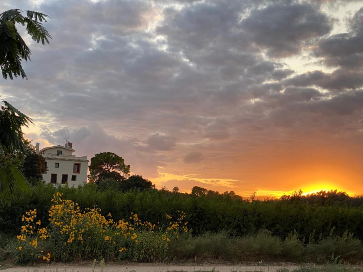 Hotel Rural Mas De L'Illa Tivissa Ngoại thất bức ảnh