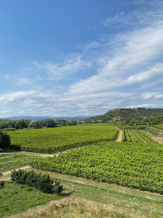 Hotel Rural Mas De L'Illa Tivissa Ngoại thất bức ảnh