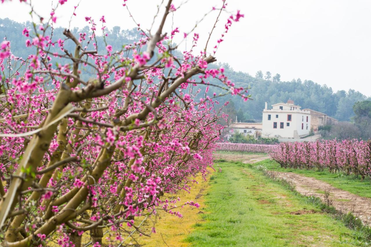 Hotel Rural Mas De L'Illa Tivissa Ngoại thất bức ảnh